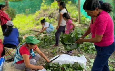 Jornadas para elaboración de bioles.
