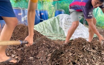 Jornadas grupales para mantenimiento de planta de compostaje.