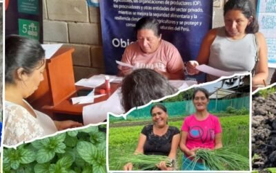 Biohuertos Circulares para la Amazonía: Innovación y Sostenibilidad desde Pacaypite