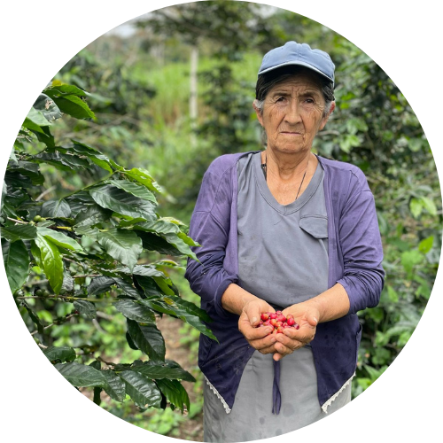 Asucena Suarez Flores